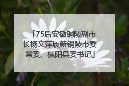 75后安徽铜陵副市长杨文萍履新铜陵市委常委、枞阳县委书记