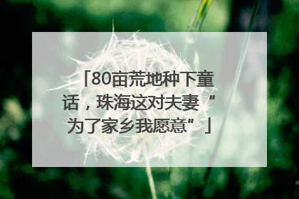 80亩荒地种下童话，珠海这对夫妻“为了家乡我愿意”