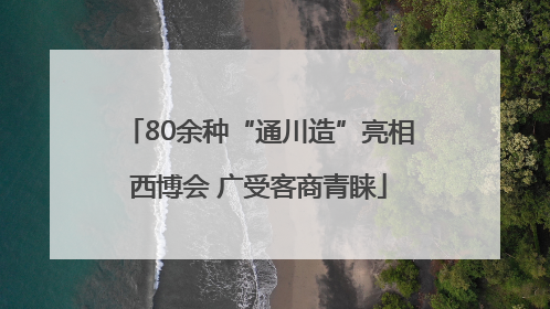 80余种“通川造”亮相西博会 广受客商青睐