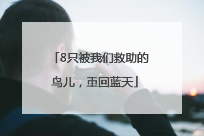 8只被我们救助的鸟儿，重回蓝天