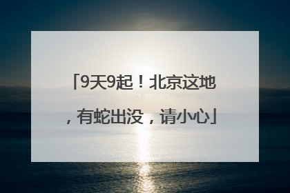 9天9起！北京这地，有蛇出没，请小心