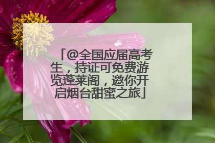 @全国应届高考生，持证可免费游览蓬莱阁，邀你开启烟台甜蜜之旅