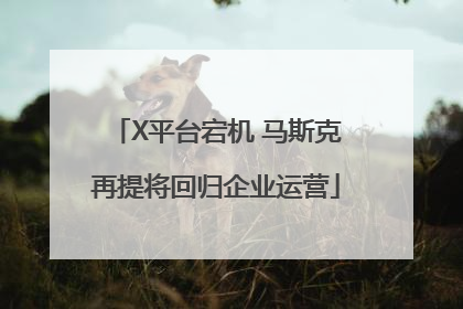 X平台宕机 马斯克再提将回归企业运营